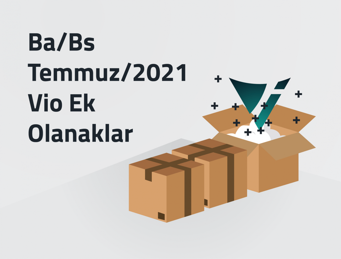 Ba/Bs Temmuz/2021 Vio Ek Olanaklar Vio Yazılım